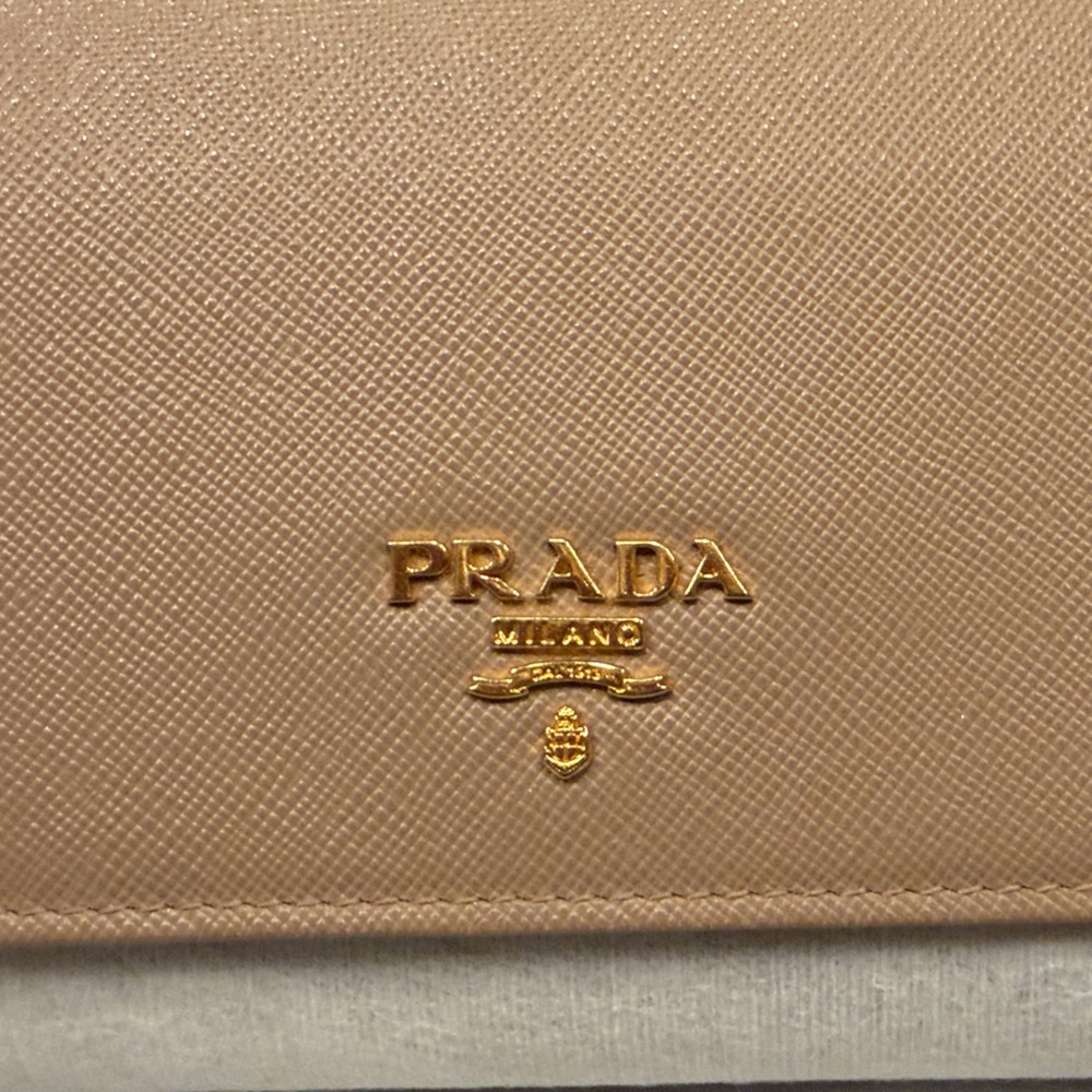 Prada Saffiano Leather Wallet on a Chain in Blush w/Gold Hardware